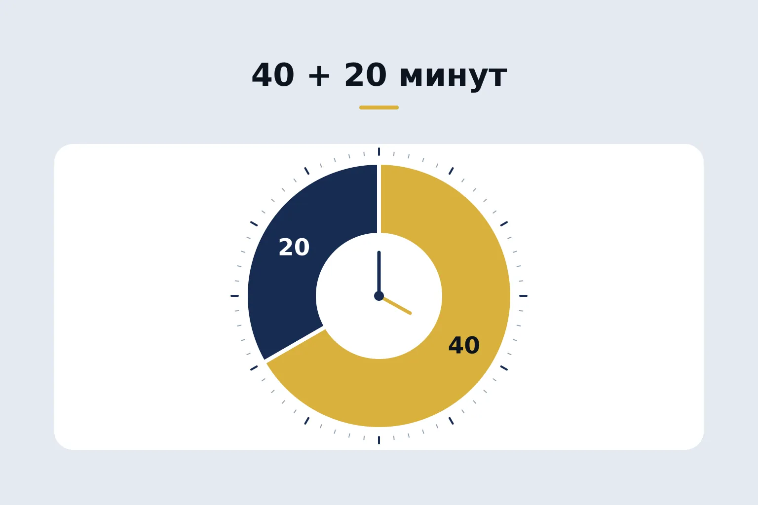 40 + 20 minutes — circular timer with two sectors